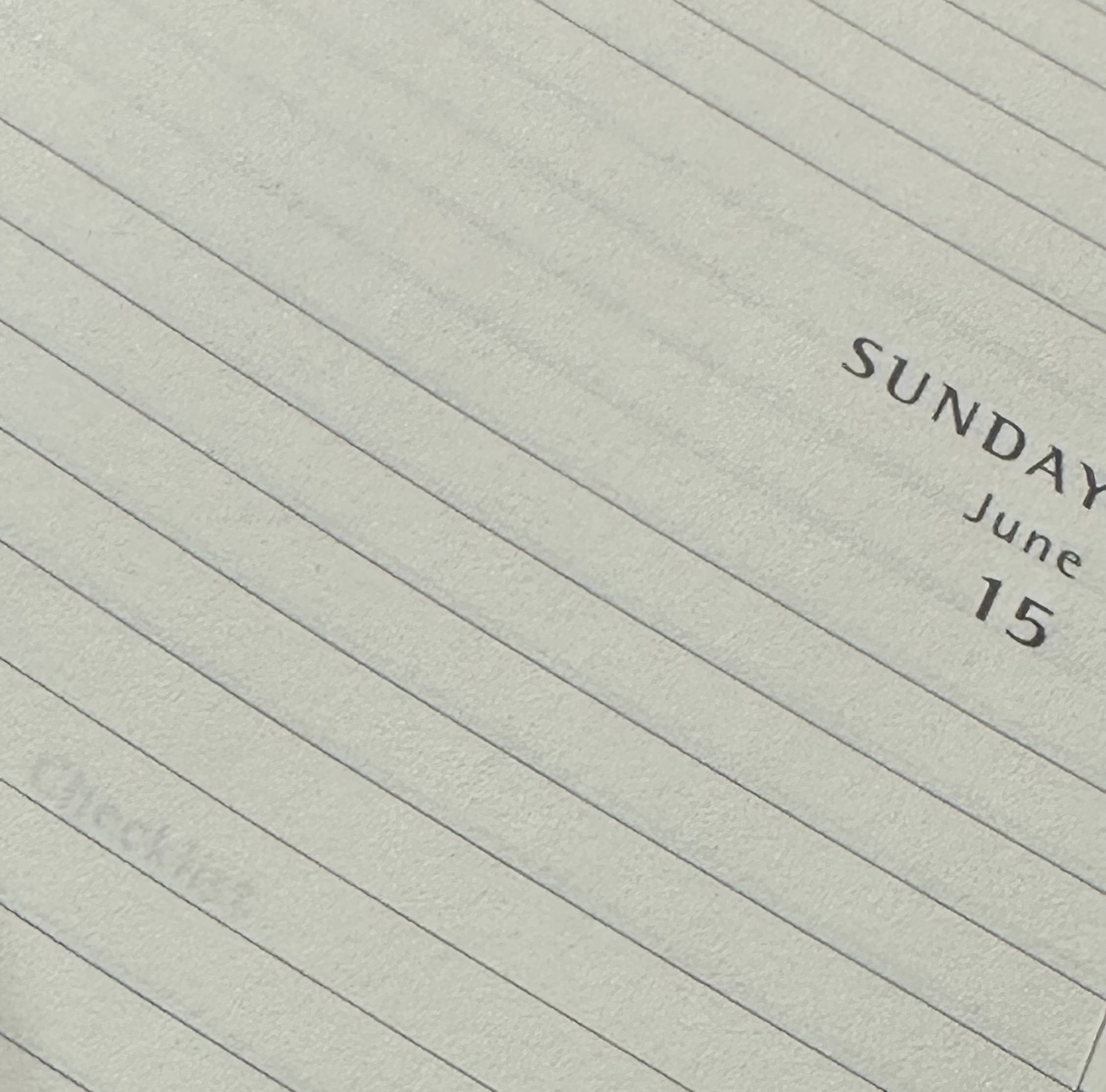 마이페이지 이미지