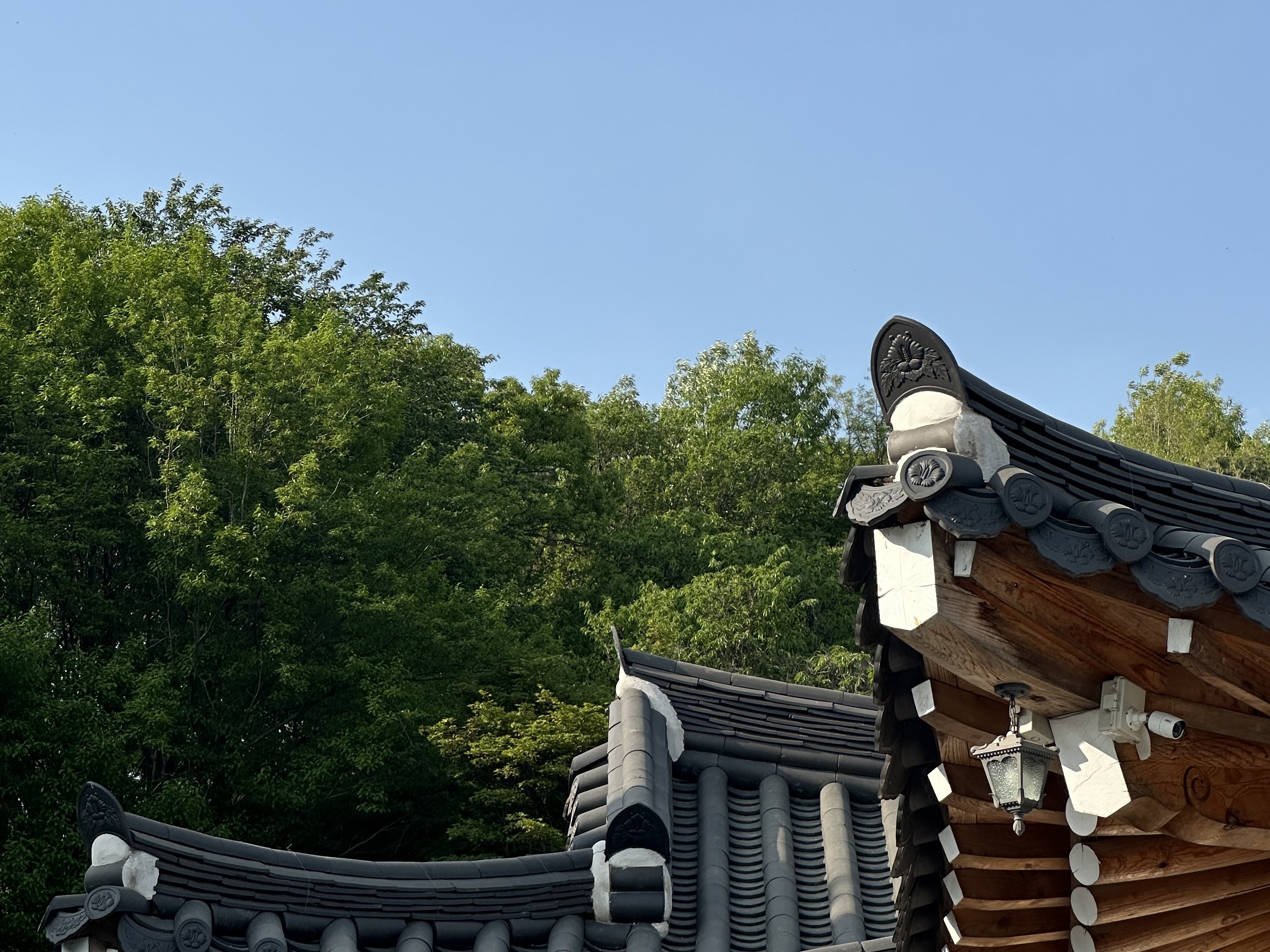 일기 목록 이미지